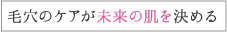 毛穴のケアが未来の肌を決める