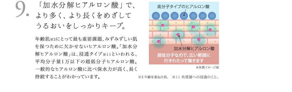 9. 「加水分解ヒアルロン酸」で、より多く、より長くをめざしてうるおいをしっかりキープ。