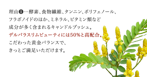 理由1…ドッサリの実感力で、ダイエットティーの素材として定評のあるキャンドルブッシュ。通常30～40%配合商品が多いなか、デルバラスリムビューティは50%と高配合。実感できる商品にこだわった黄金バランスで、きっとご満足いただけます。