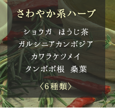 スリム系ハーブ ショウガ ほうじ茶 ガルシニアカンボジア カワラケツメイ タンポポ根 桑葉 〈６種類〉