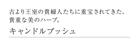 古より王室の貴婦人たちに重宝されてきた、貴重な美のハーブ。 キャンドルブッシュ