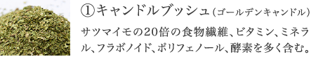 ①キャンドルブッシュ サツマイモの20倍の食物繊維、ビタミン、ミネラル、フラボノイド、ポリフェノール、酵素を多く含む。