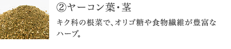 ②ヤーコン葉・茎 オリゴ糖や食物繊維が豊富な、プレバイオティクス系のハーブ。