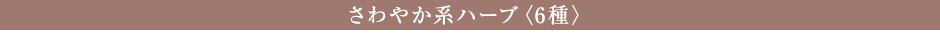 スリム系ハーブ〈6種〉