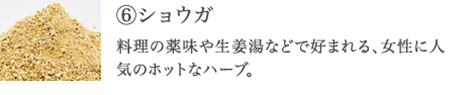 ⑥ショウガ  料理の薬味や生姜湯などで好まれる、特に冷えが気になる女性に人気のホットな成分。