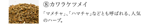 ⑧カワラケツメイ 「マメチャ」、「ハマチャ」などとも呼ばれ、水分のスッキリをサポートするハーブ。