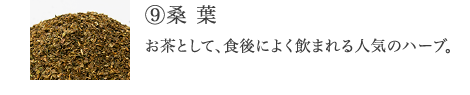 ⑨桑 葉 食後の糖バランスもドッサリもサポートする、ぽっちゃりを気にする方に人気のハーブ。