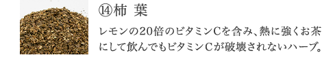 ⑭柿 葉 