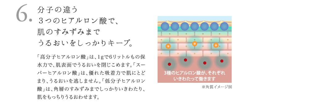 6. 分子の違う ３つのヒアルロン酸で、 肌のすみずみまで うるおいをしっかりキープ。 「高分子ヒアルロン酸」は、1gで6リットルもの保 水力で、肌表面でうるおいを閉じこめます。「スー パーヒアルロン酸」は、優れた吸着力で肌にとど まり、深部のうるおいを逃しません。「低分子ヒア ルロン酸」は、深部までしっかり浸透して、肌をふ っくらうるおわせます。