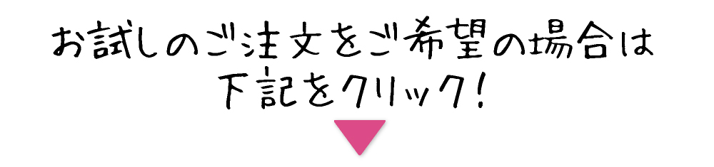 今回はお試し